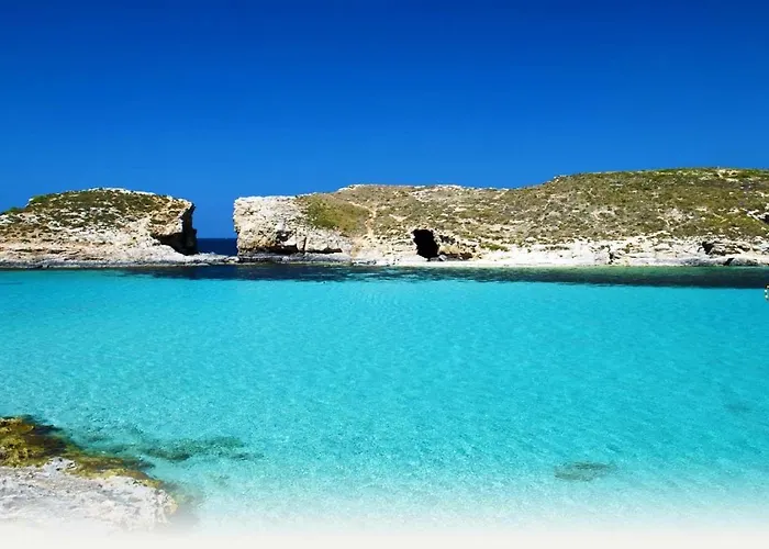 Salmar Court With Pool By Buena Vista *