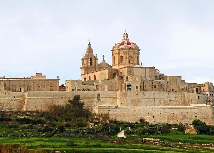 Salmar Court With Pool By Buena Vista Daire