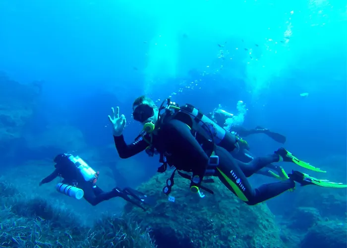 Apartment Salmar Court With Pool By Buena Vista *